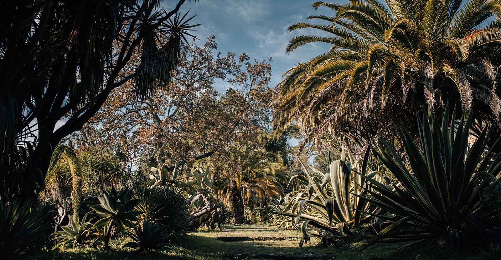 jardin botanique lisbonne